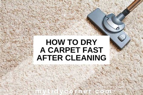 How to dry carpet fast. Things To Know About How to dry carpet fast. 